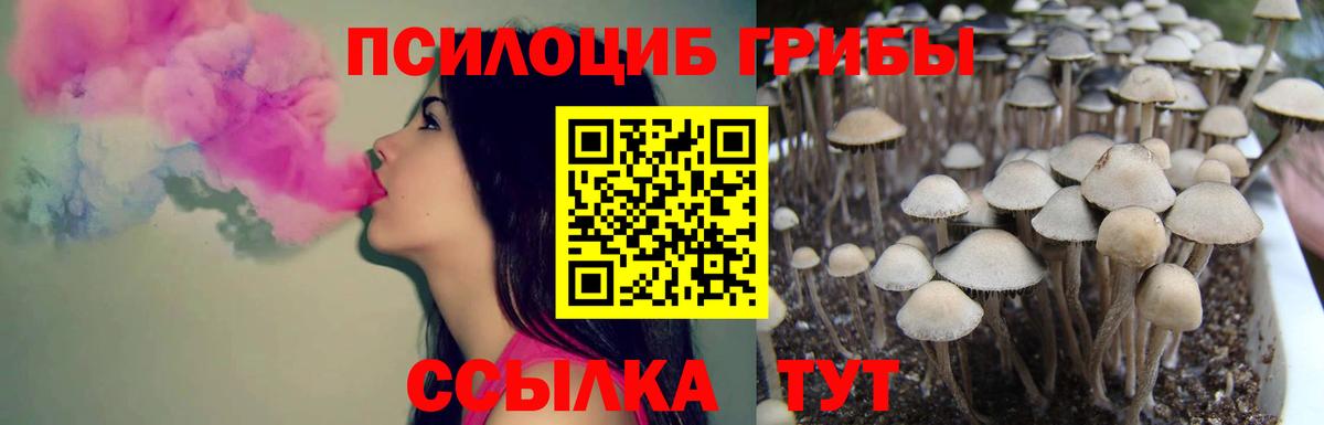 Галлюциногенные грибы Cubensis  Вход с VPN  купить закладку  Пыть-Ях 